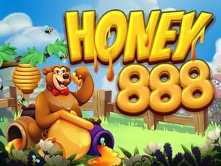 Honey 888 game icon